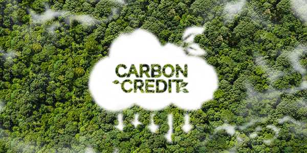 The Future Of Carbon Credits In Global Finance: A Deep Dive